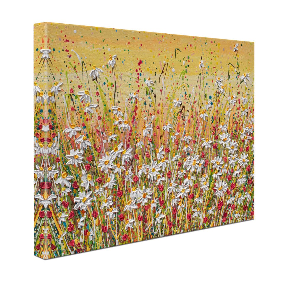 Daisies At Sunset Canvas Print wall art product Olga Tkachyk