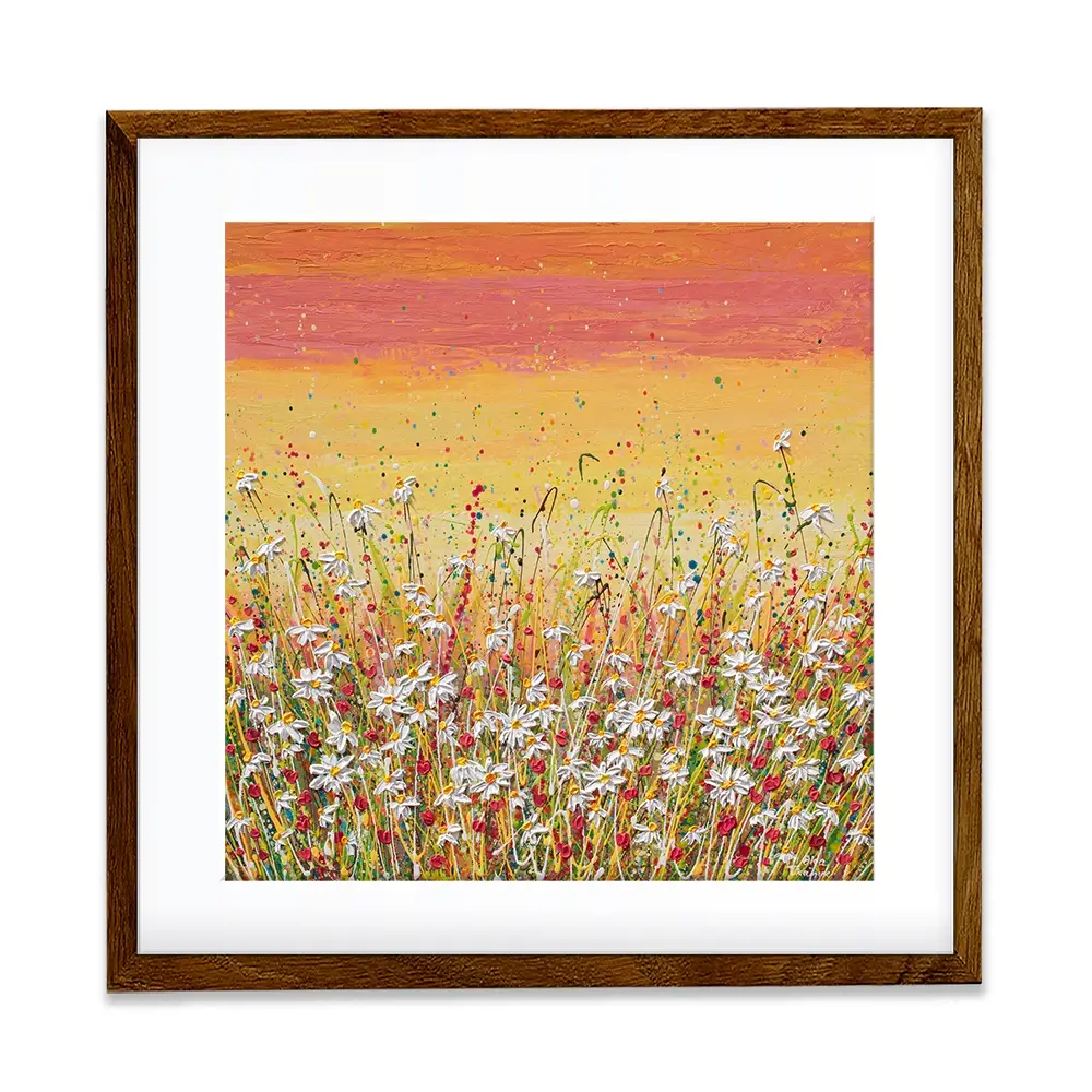 Daisies At Sunset Square Framed Art Print Daisies At Sunset Square Framed Art Print wall art product Olga Tkachyk