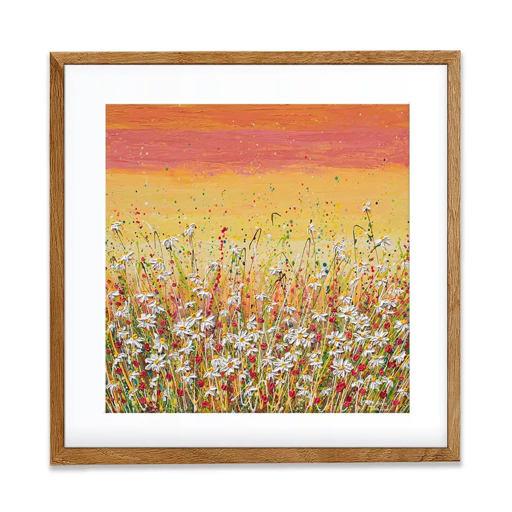Daisies At Sunset Square Framed Art Print Daisies At Sunset Square Framed Art Print wall art product Olga Tkachyk