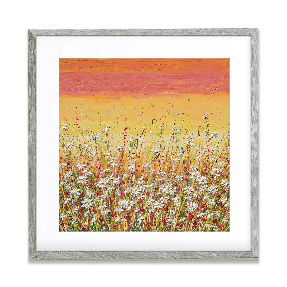 Daisies At Sunset Square Framed Art Print Daisies At Sunset Square Framed Art Print wall art product Olga Tkachyk