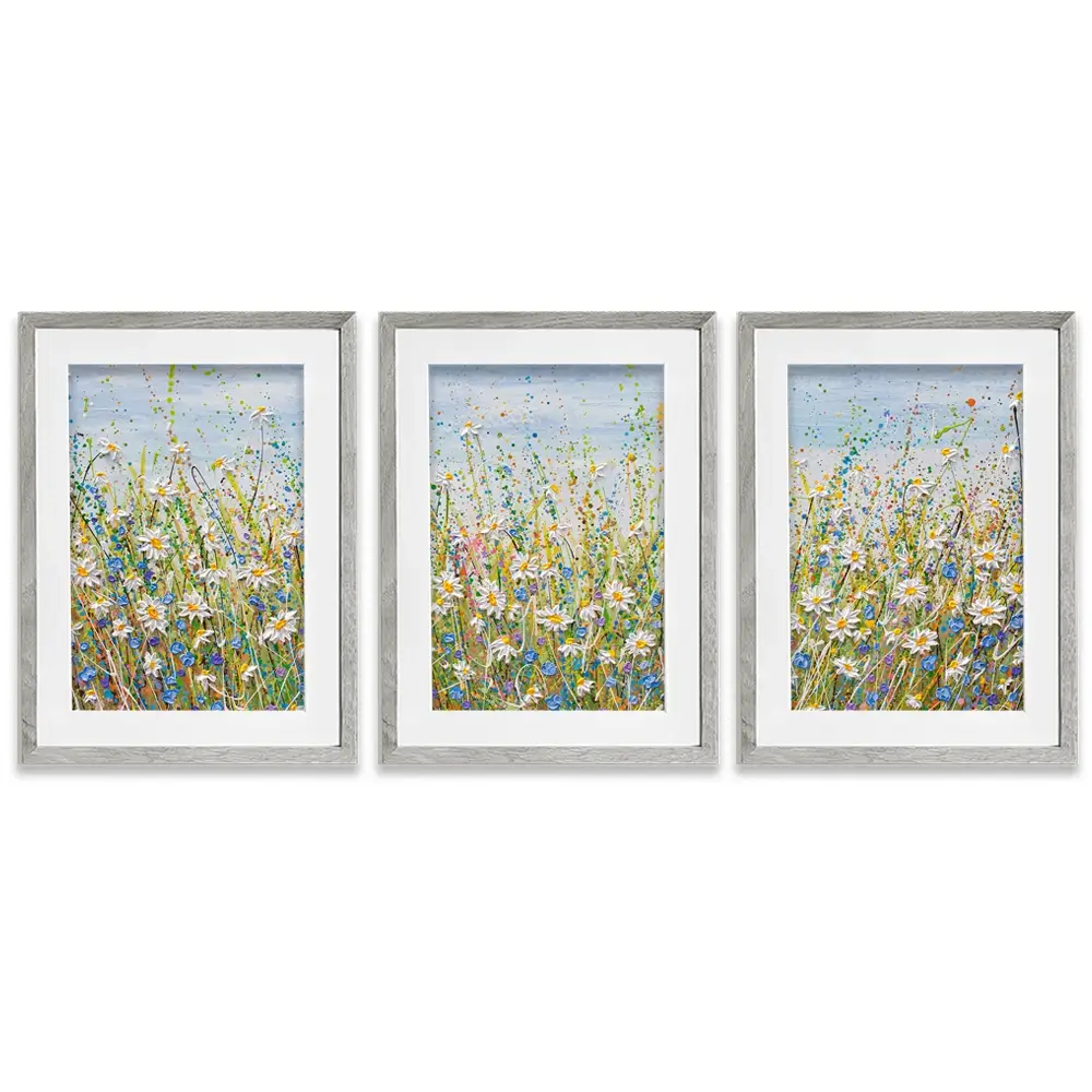 Daisies In July Framed Art Print Trio Daisies In July Framed Art Print Trio wall art product Olga Tkachyk