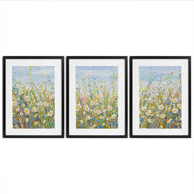 Daisies In July Framed Art Print Trio Daisies In July Framed Art Print Trio wall art product Olga Tkachyk