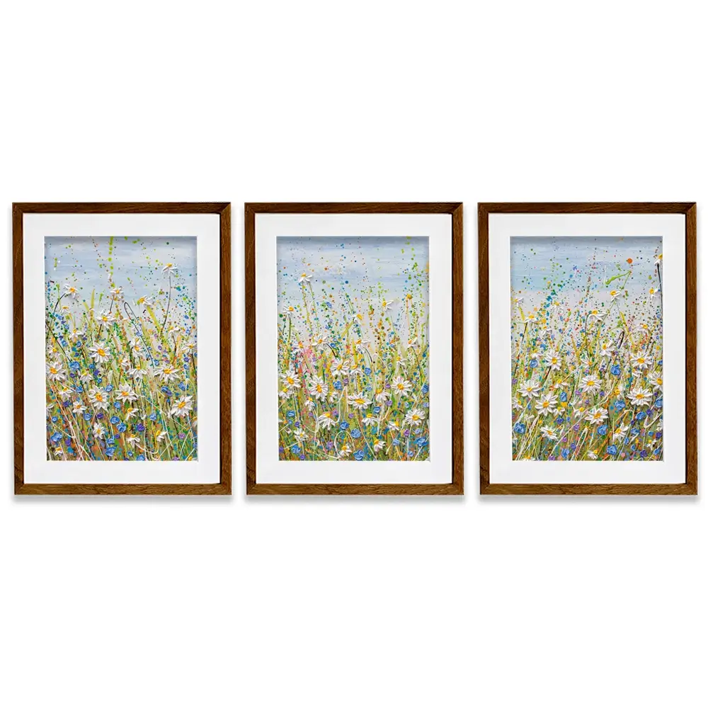 Daisies In July Framed Art Print Trio Daisies In July Framed Art Print Trio wall art product Olga Tkachyk