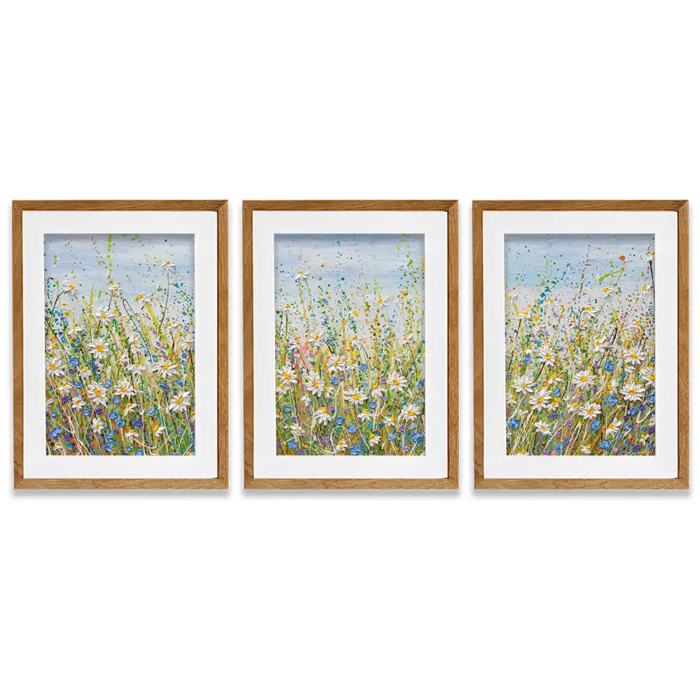 Daisies In July Framed Art Print Trio Daisies In July Framed Art Print Trio wall art product Olga Tkachyk