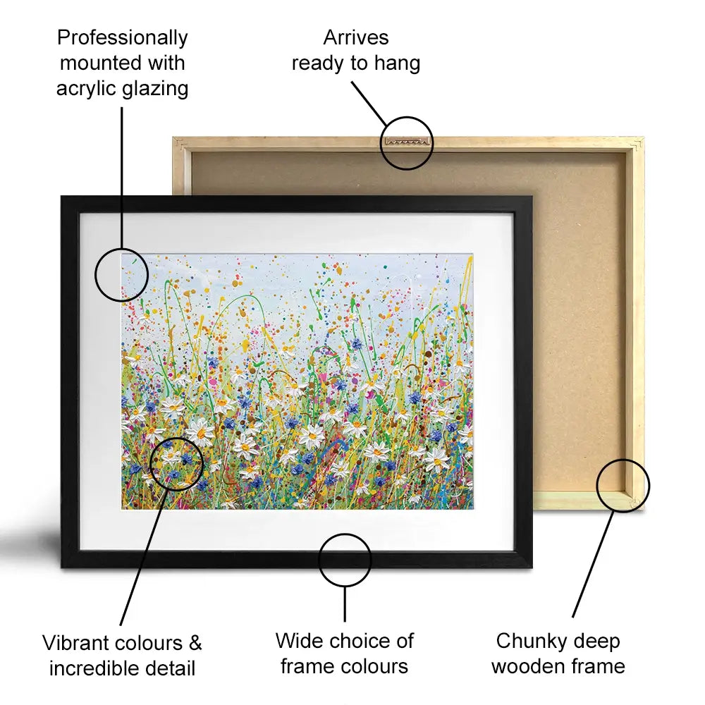 Daisy Splash Framed Art Print Daisy Splash Framed Art Print | Floral Wall Art  wall art product Olga Tkachyk