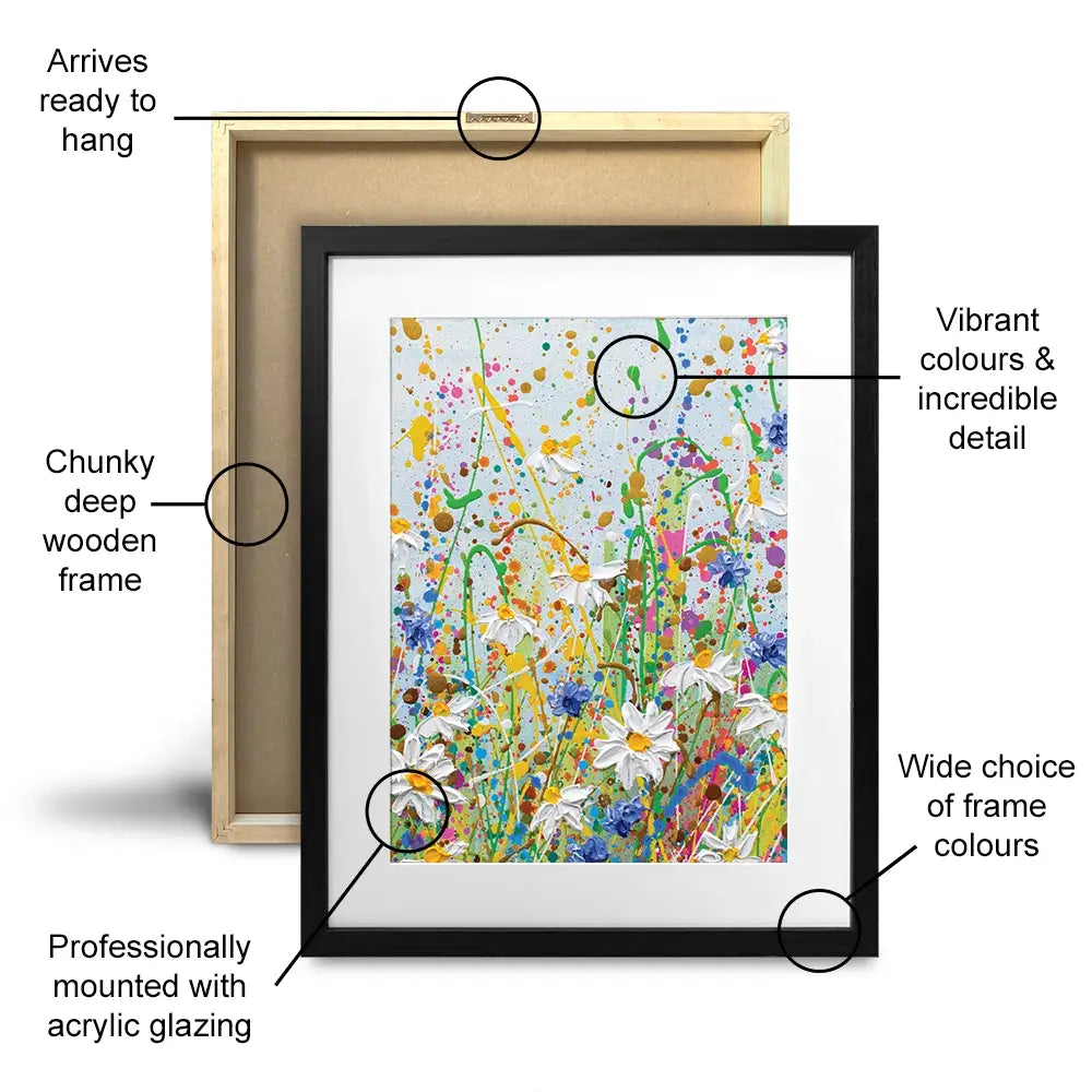 Daisy Splash Framed Art Print Trio Daisy Splash Framed Art Print Trio wall art product Olga Tkachyk