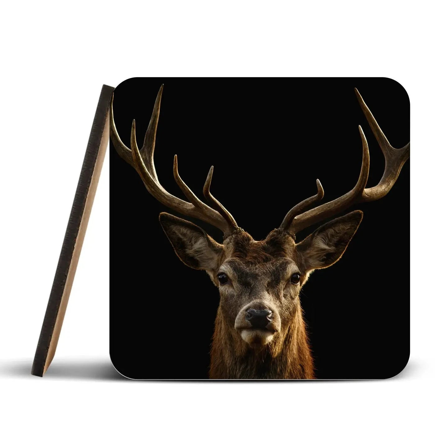 Deer Coaster Set Deer Coaster Set wall art product Brais Seara / Shutterstock