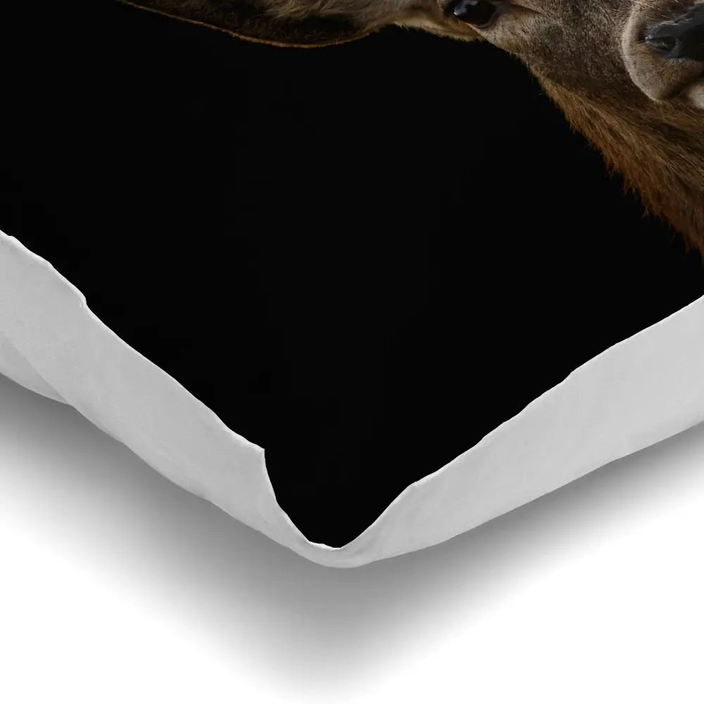 Deer Cushion Deer Cushion wall art product Art Print Shop