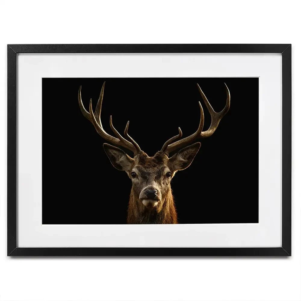 Deer Framed Art Print Deer Framed Art Print wall art product Brais Seara / Shutterstock