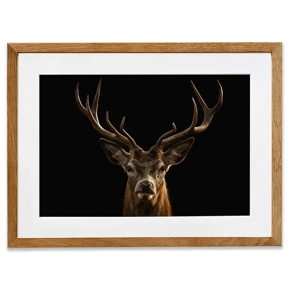 Deer Framed Art Print Deer Framed Art Print wall art product Brais Seara / Shutterstock