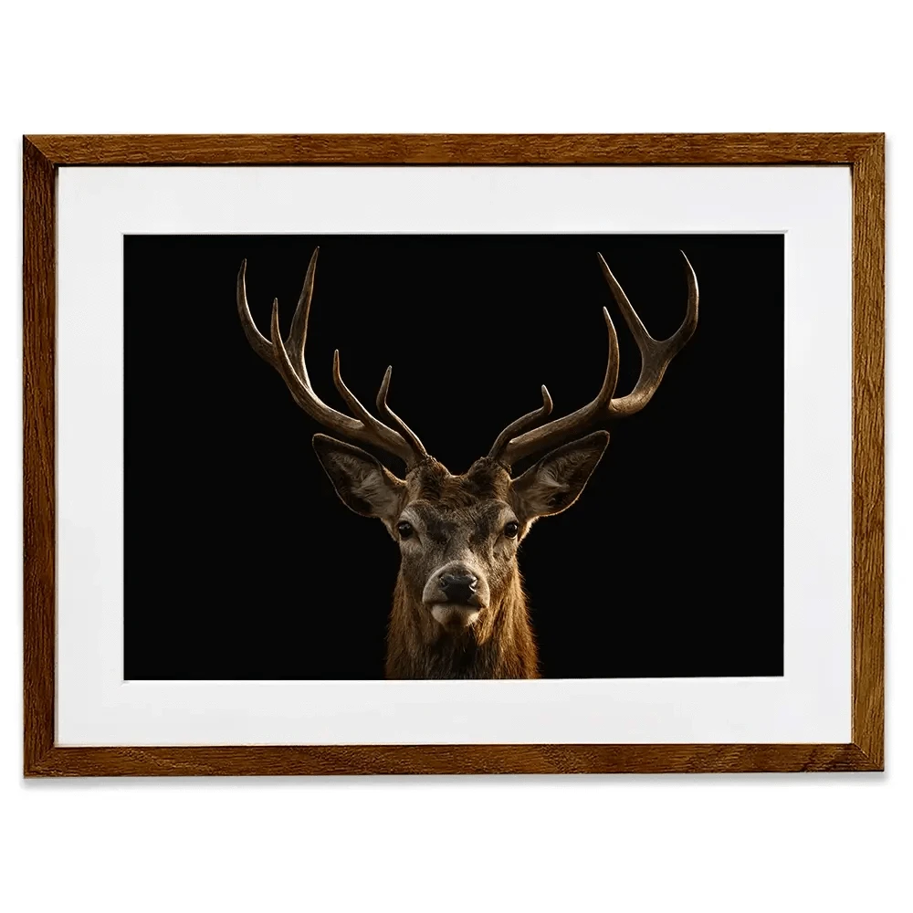 Deer Framed Art Print Deer Framed Art Print wall art product Brais Seara / Shutterstock
