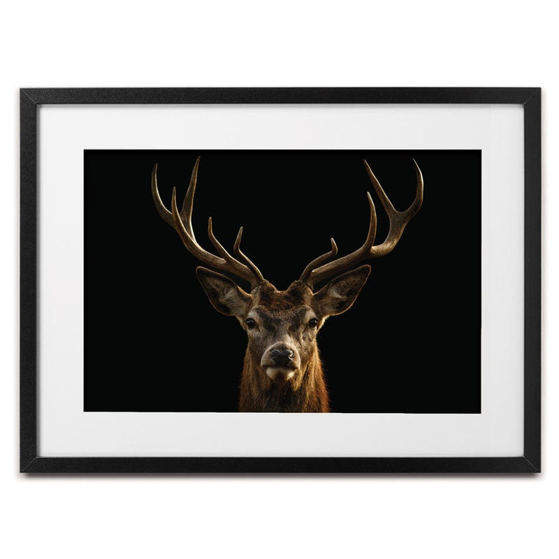 Deer Framed Art Print wall art product Brais Seara / Shutterstock