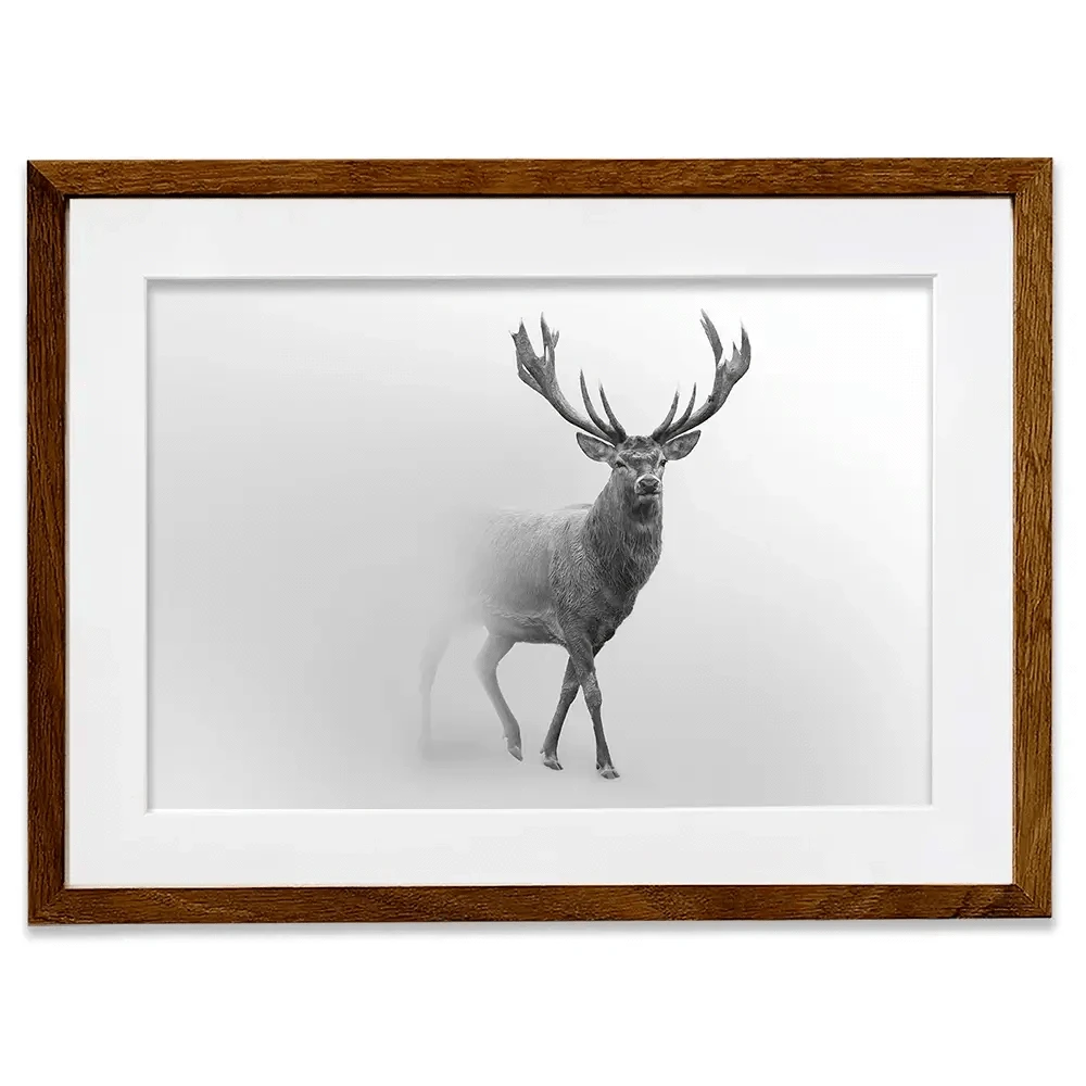 Deer In The Fog Framed Art Print Deer In The Fog Framed Art Print wall art product Effect of Darkness / Shutterstock