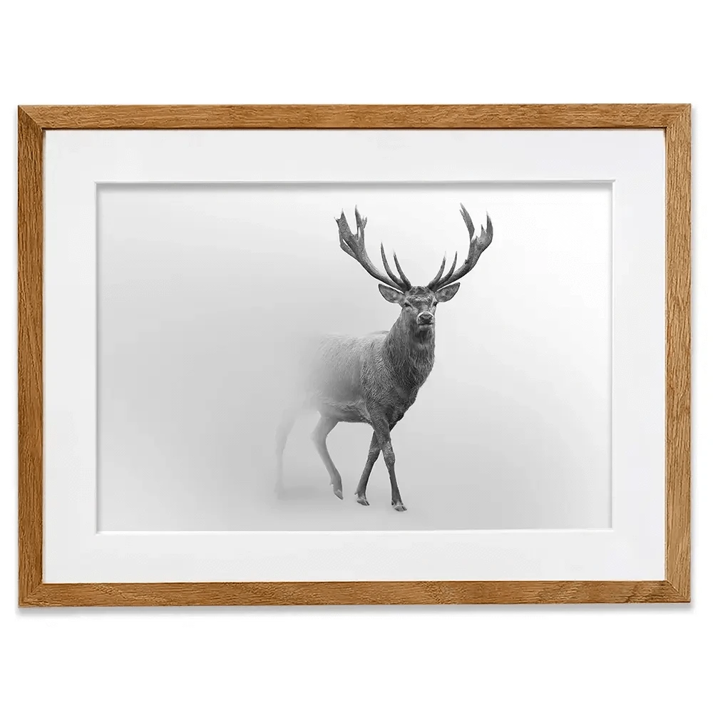 Deer In The Fog Framed Art Print Deer In The Fog Framed Art Print wall art product Effect of Darkness / Shutterstock
