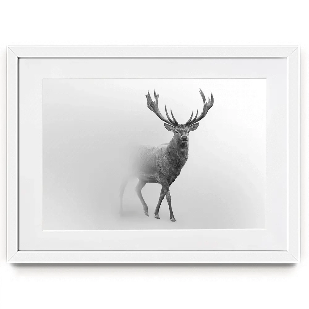 Deer In The Fog Framed Art Print Deer In The Fog Framed Art Print wall art product Effect of Darkness / Shutterstock