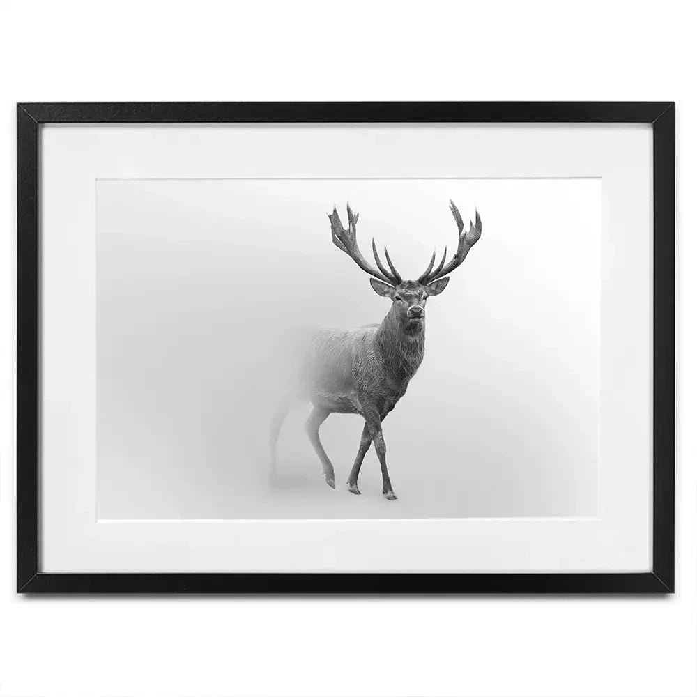 Deer In The Fog Framed Art Print Deer In The Fog Framed Art Print wall art product Effect of Darkness / Shutterstock