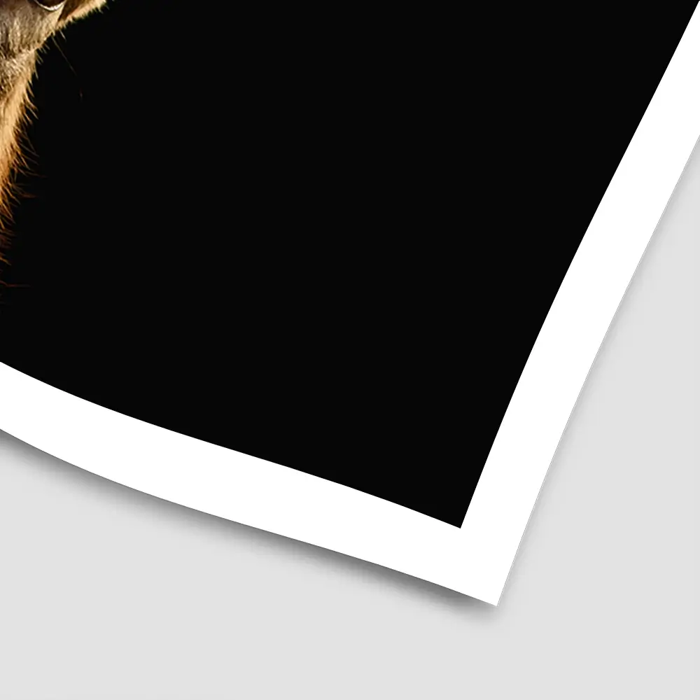 Deer Square Art Print Deer Square Art Print wall art product Art Print Shop