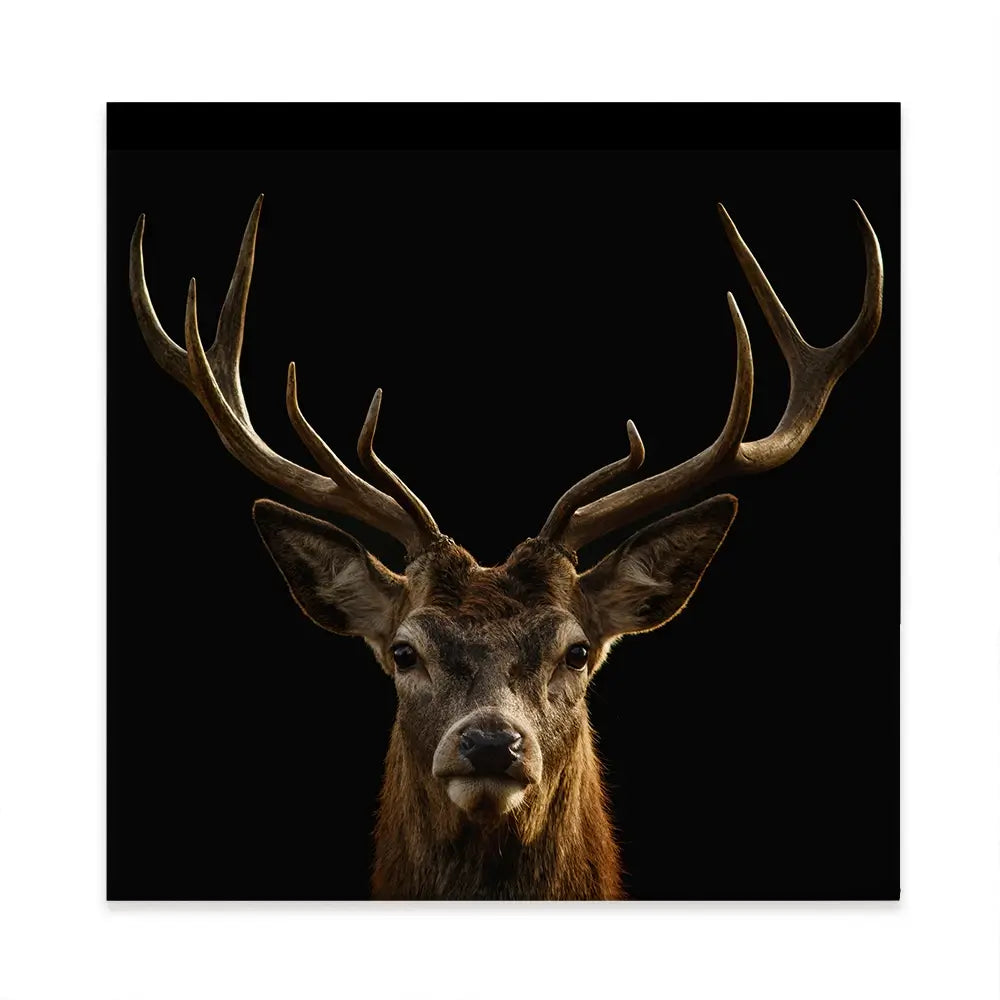 Deer Square Canvas Print Deer Square Canvas Print wall art product Art Print Shop