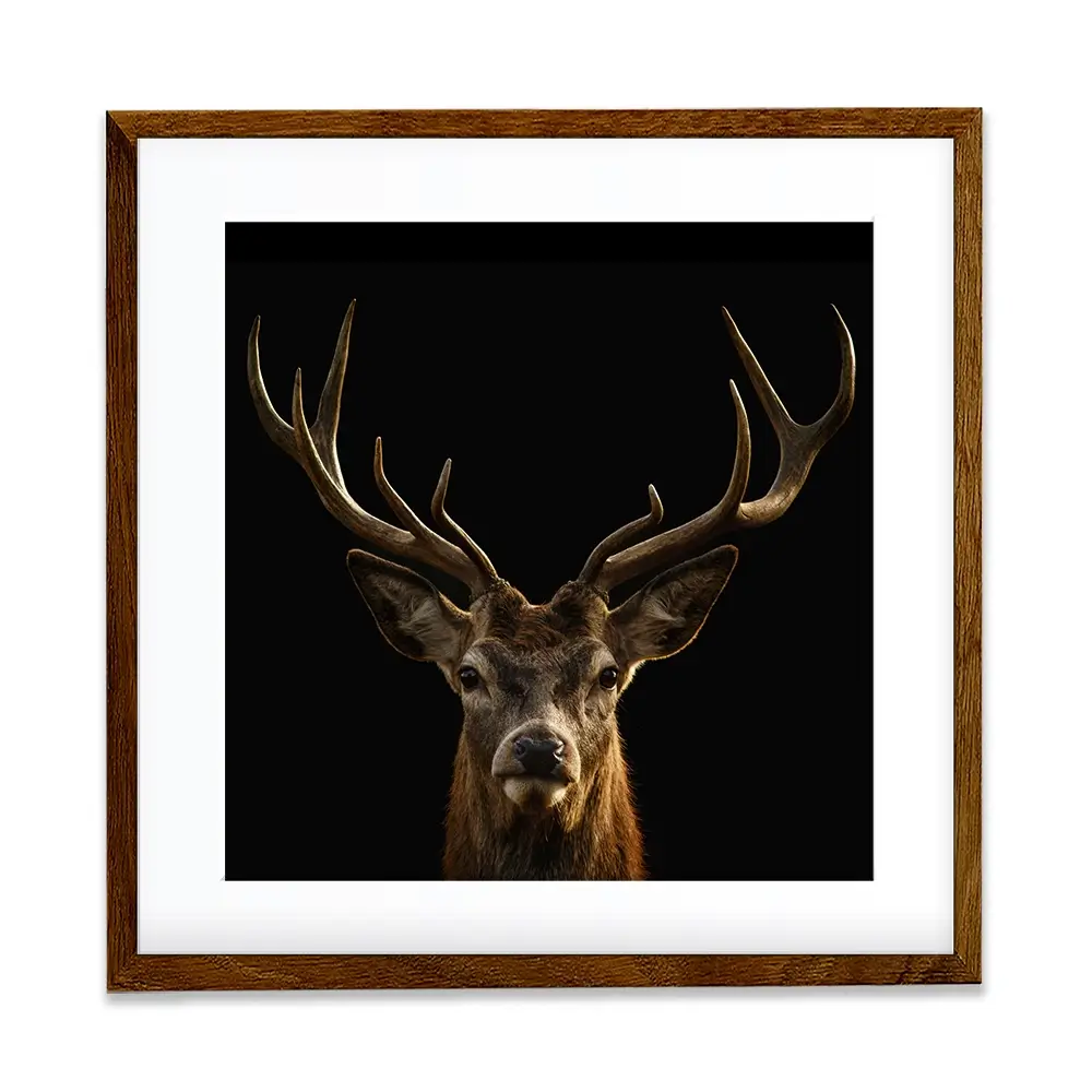 Deer Square Framed Art Print Deer Square Framed Art Print wall art product Art Print Shop