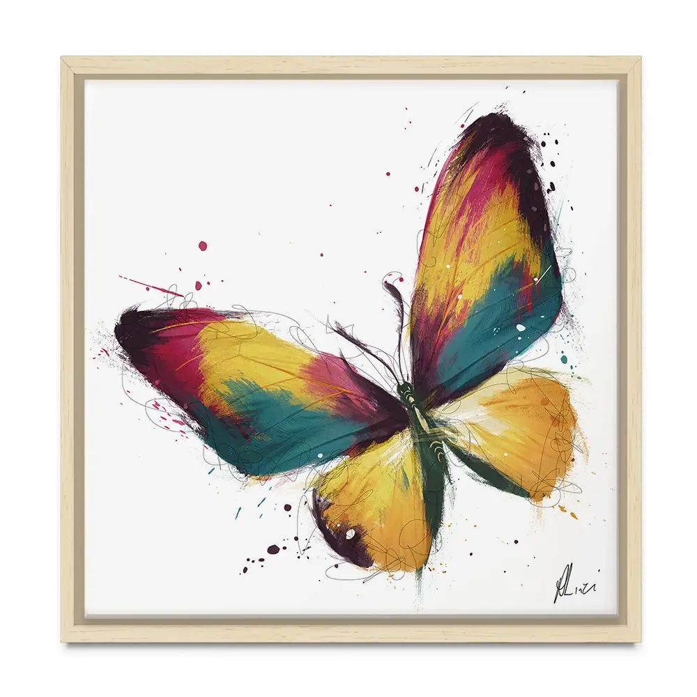 Delicate Butterfly Canvas Print Delicate Butterfly Canvas Print wall art product Aimee Linzi