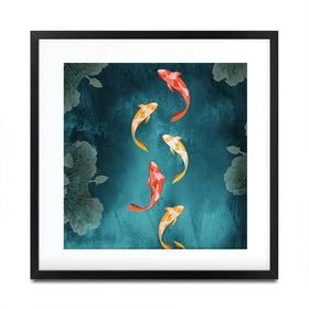 Don't Be Koi Square Framed Art Print Don't Be Koi Square Framed Art Print wall art product Abubkr Mohamed / Shutterstock