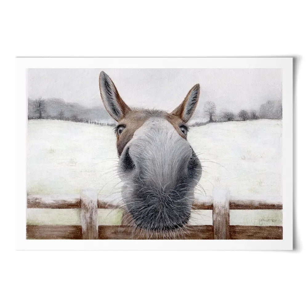 Donkey Over The Fence Art Print Donkey Over The Fence Art Print wall art product Georgie Turner