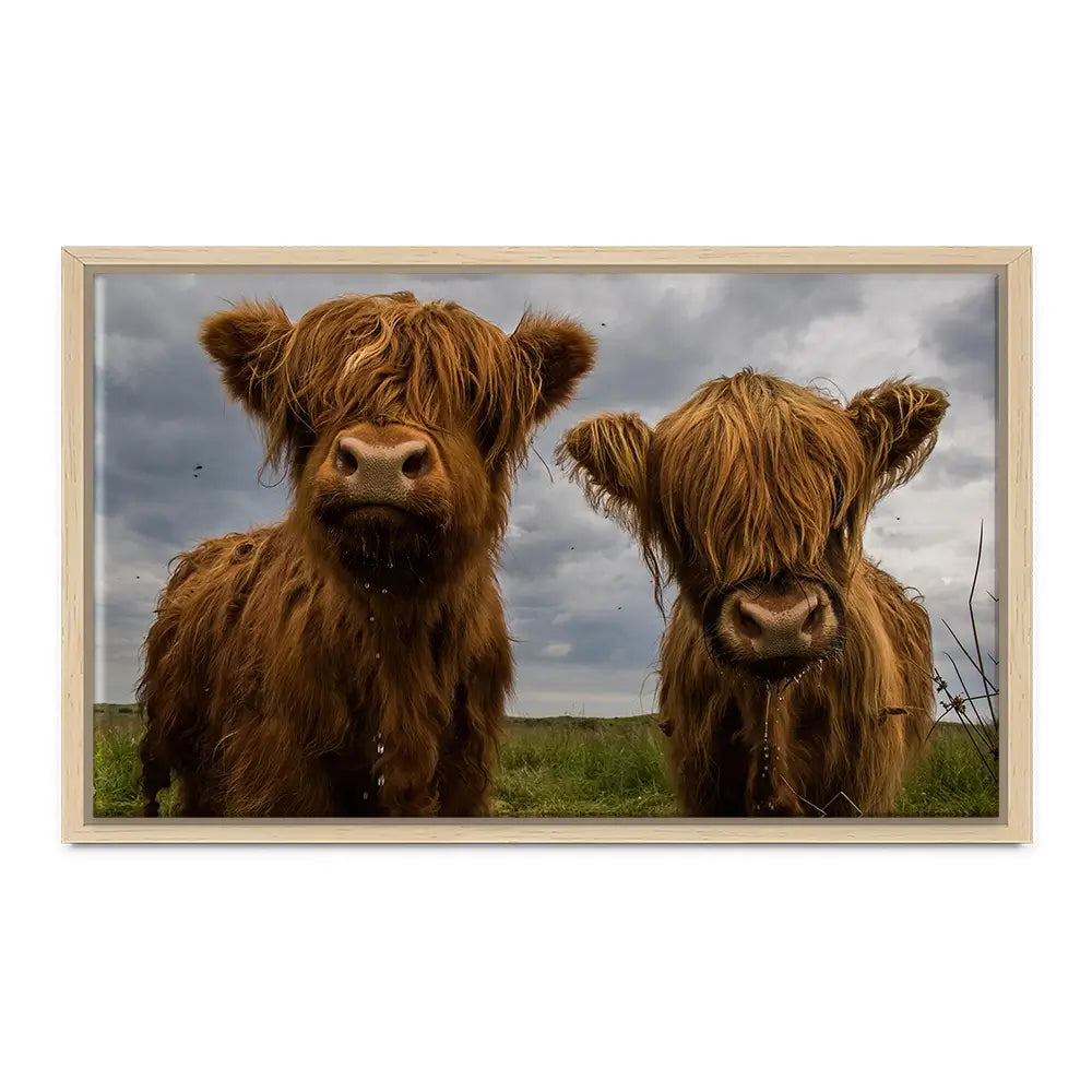 Double Trouble Canvas Print Double Trouble Canvas Print wall art product JCurrie / Shutterstock
