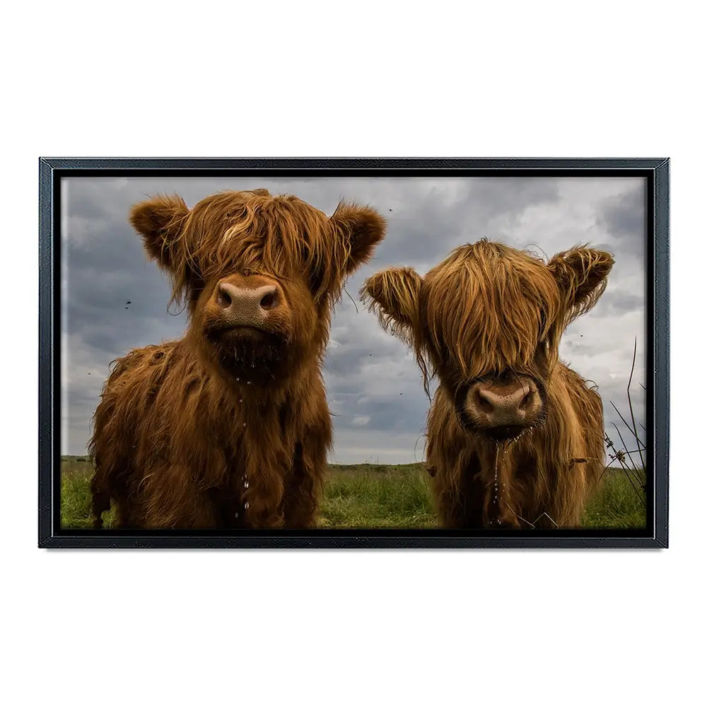 Double Trouble Canvas Print Double Trouble Canvas Print wall art product JCurrie / Shutterstock