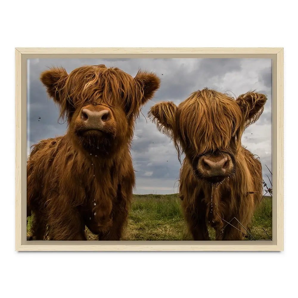Double Trouble Canvas Print Double Trouble Canvas Print wall art product JCurrie / Shutterstock