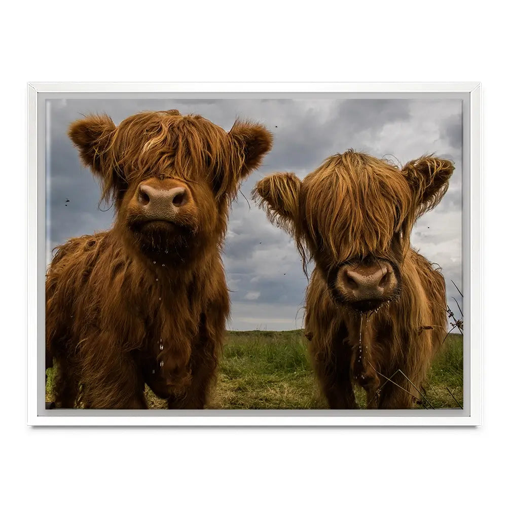 Double Trouble Canvas Print Double Trouble Canvas Print wall art product JCurrie / Shutterstock