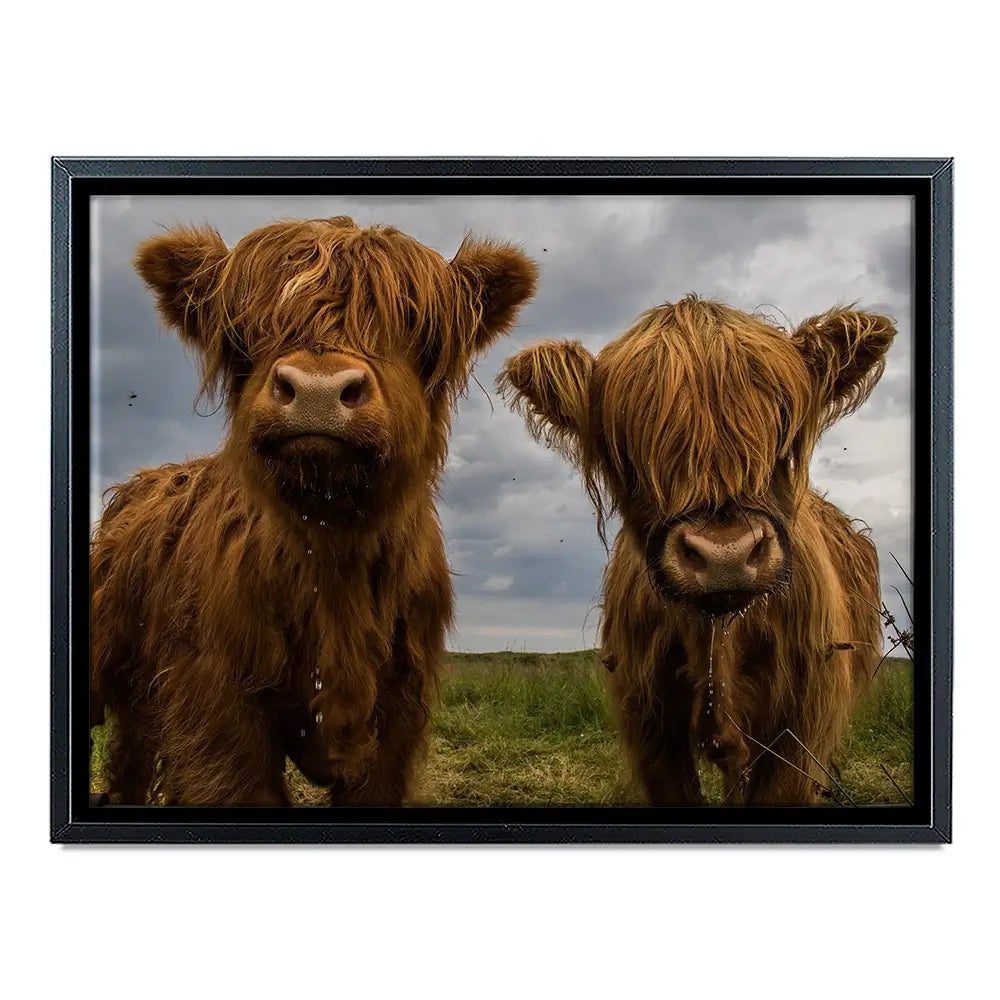 Double Trouble Canvas Print Double Trouble Canvas Print wall art product JCurrie / Shutterstock