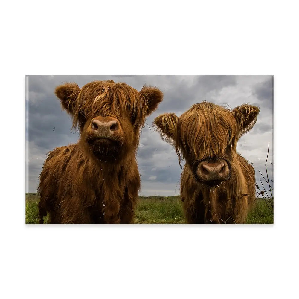 Double Trouble Canvas Print Double Trouble Canvas Print wall art product JCurrie / Shutterstock