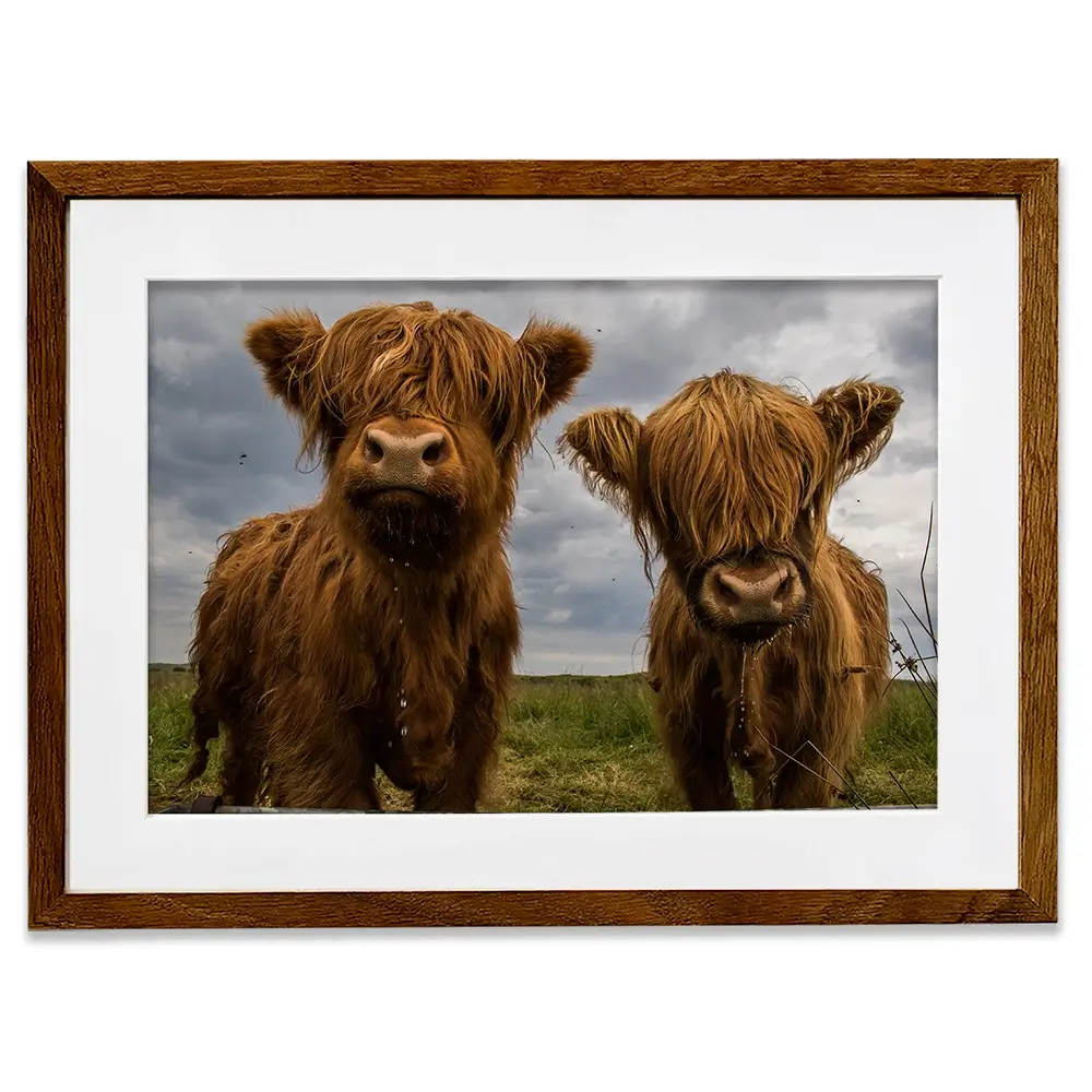 Double Trouble Framed Art Print Double Trouble Framed Art Print wall art product JCurrie / Shutterstock