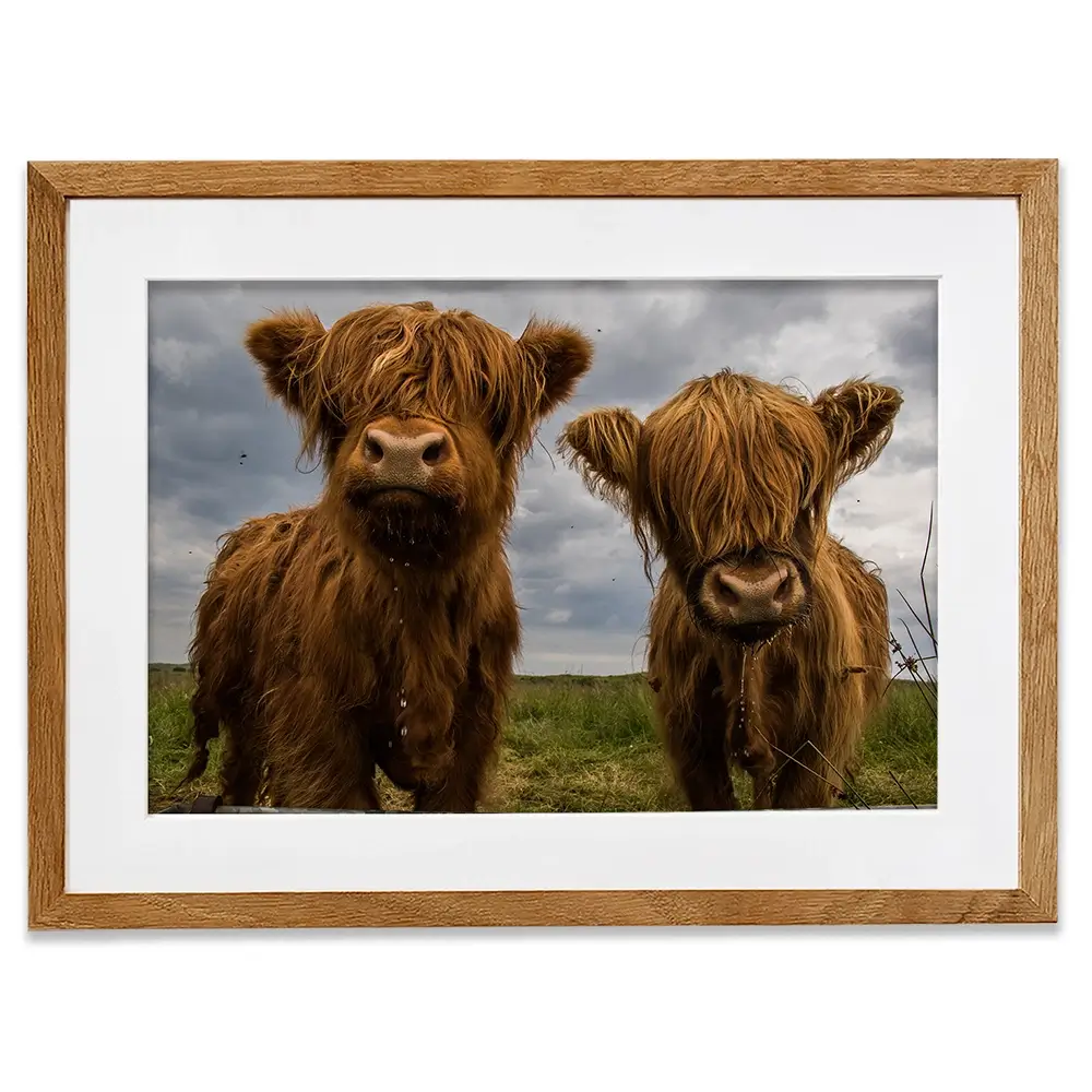 Double Trouble Framed Art Print Double Trouble Framed Art Print wall art product JCurrie / Shutterstock