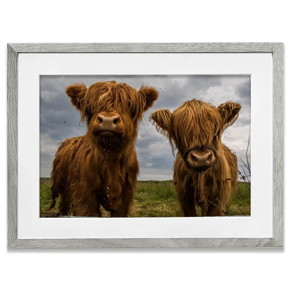 Double Trouble Framed Art Print Double Trouble Framed Art Print wall art product JCurrie / Shutterstock