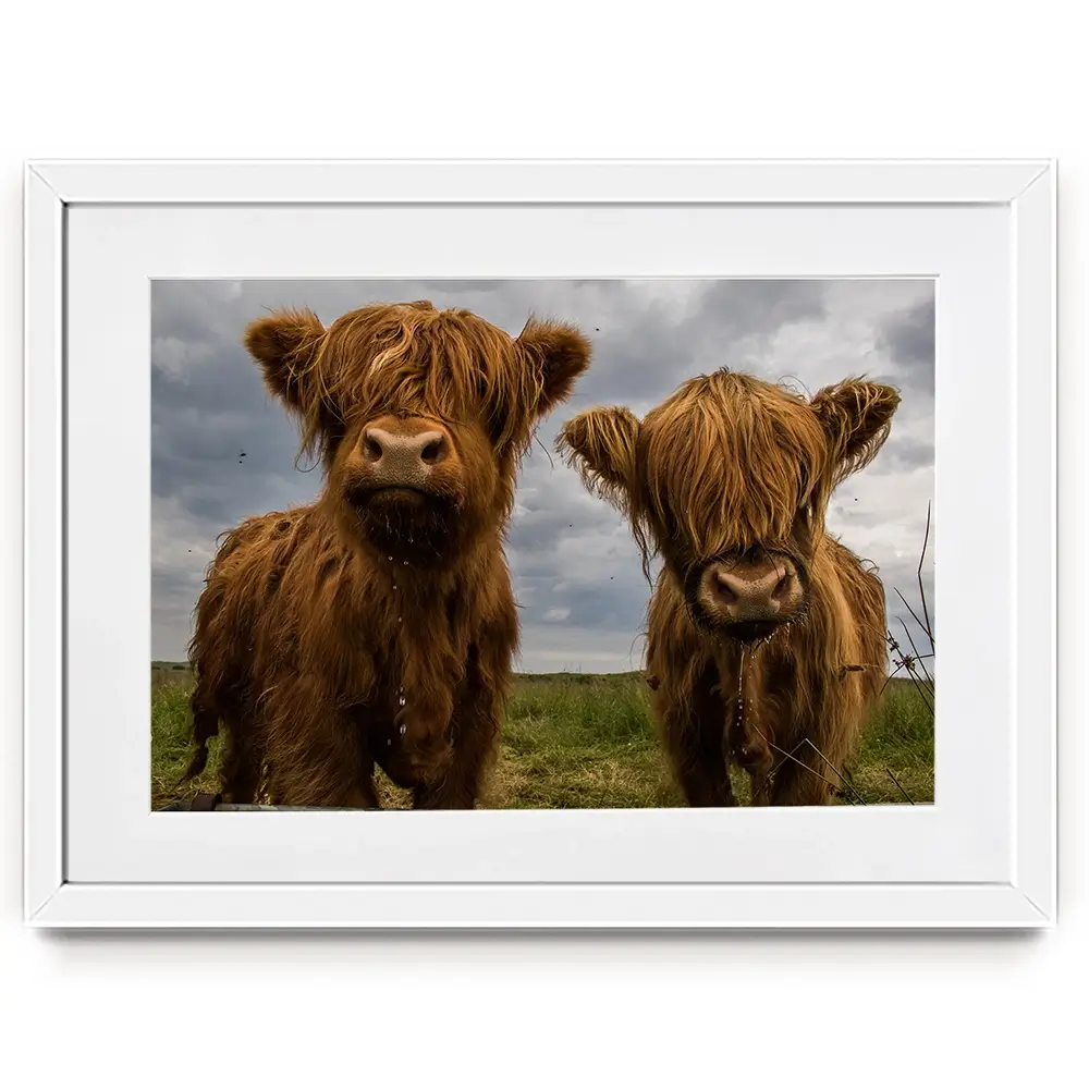 Double Trouble Framed Art Print Double Trouble Framed Art Print wall art product JCurrie / Shutterstock