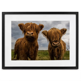 Double Trouble Framed Art Print Double Trouble Framed Art Print wall art product JCurrie / Shutterstock
