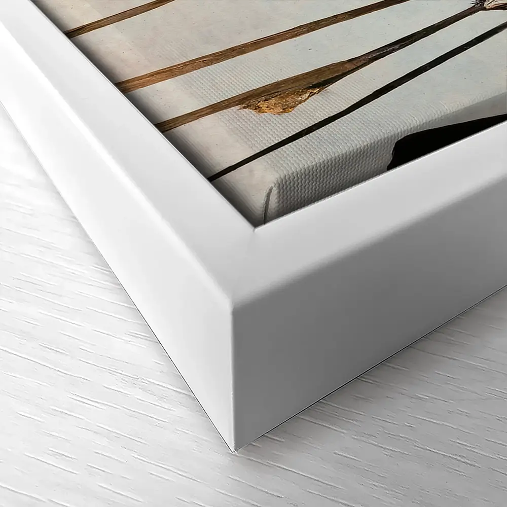 Dry Umbrella Flowers Canvas Print Dry Umbrella Flowers Canvas Print wall art product Treechild