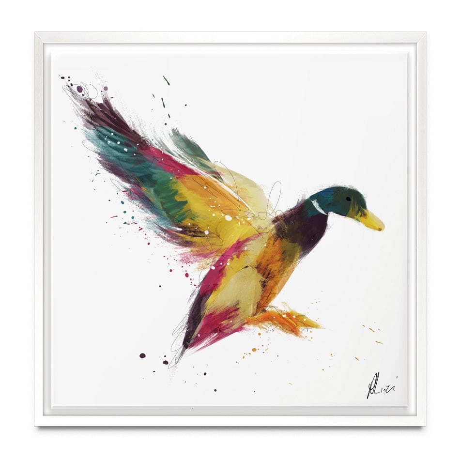 Duck Canvas Print wall art product Aimee Linzi