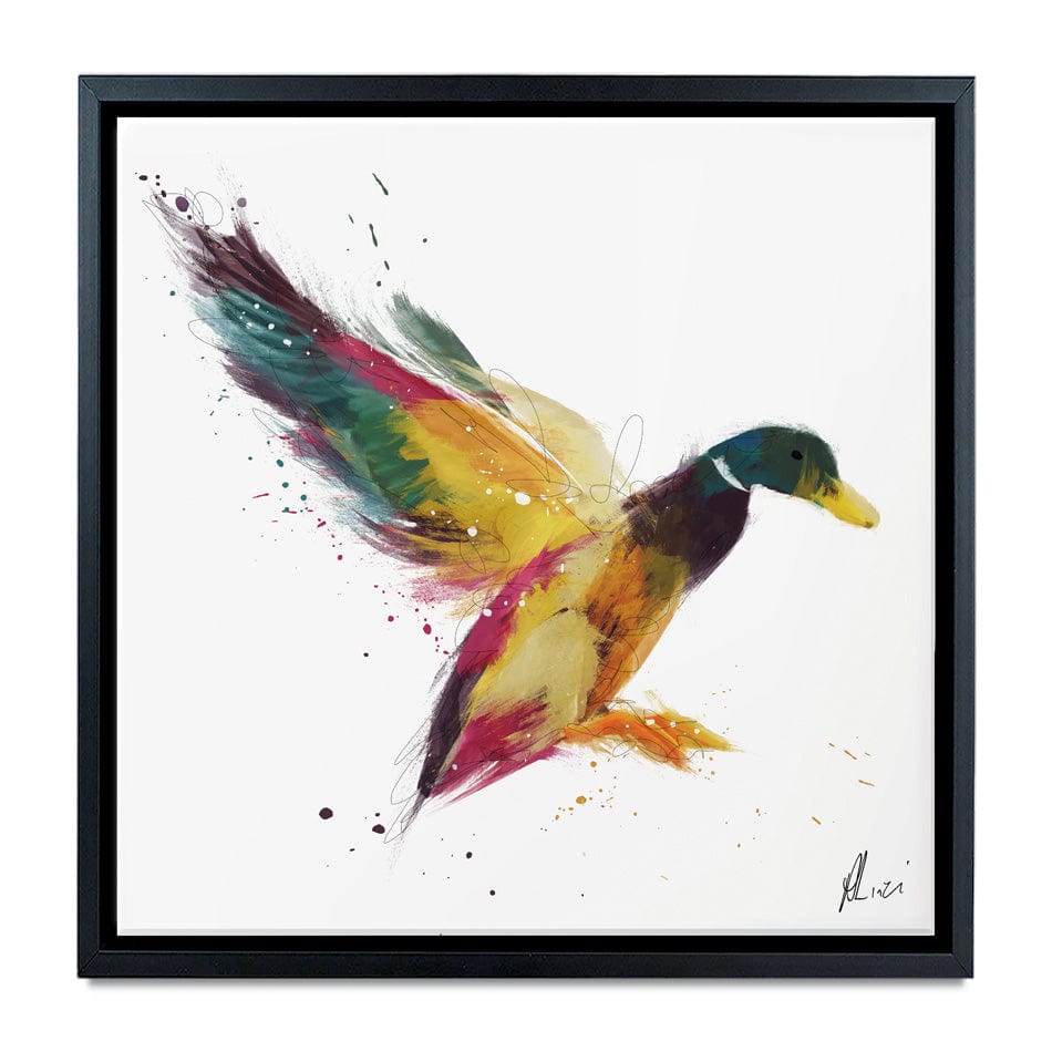 Duck Canvas Print wall art product Aimee Linzi
