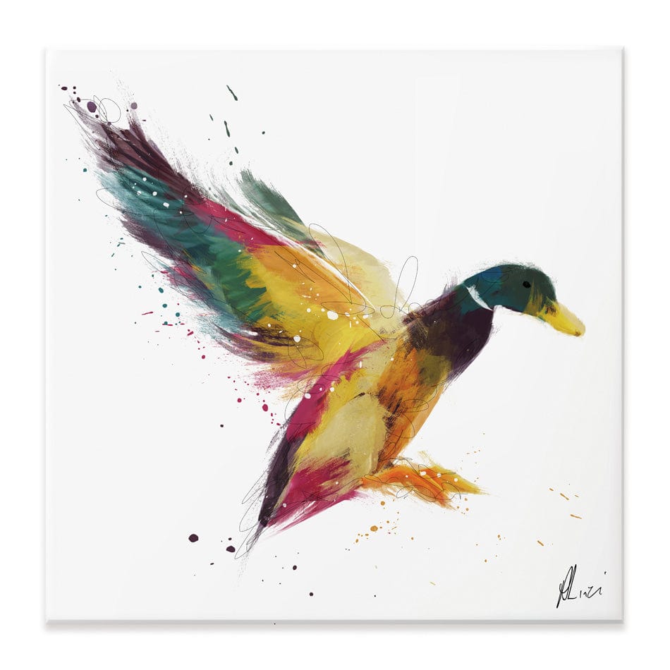 Duck Canvas Print wall art product Aimee Linzi