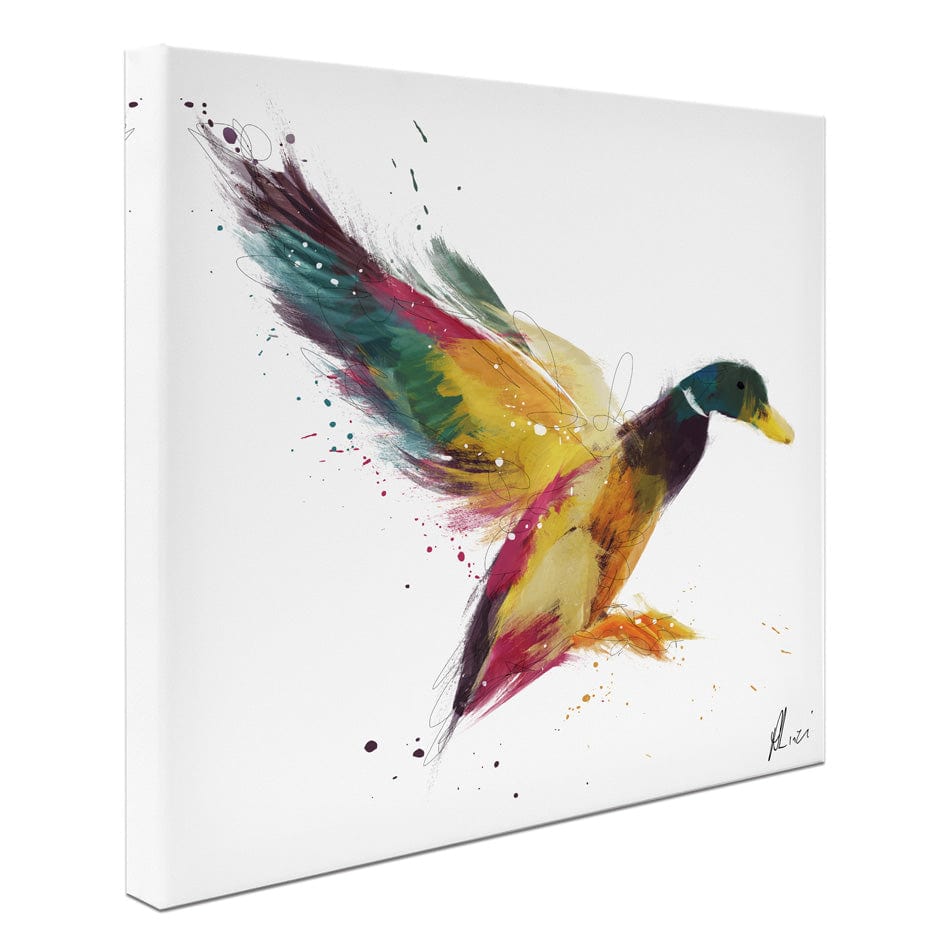 Duck Canvas Print wall art product Aimee Linzi