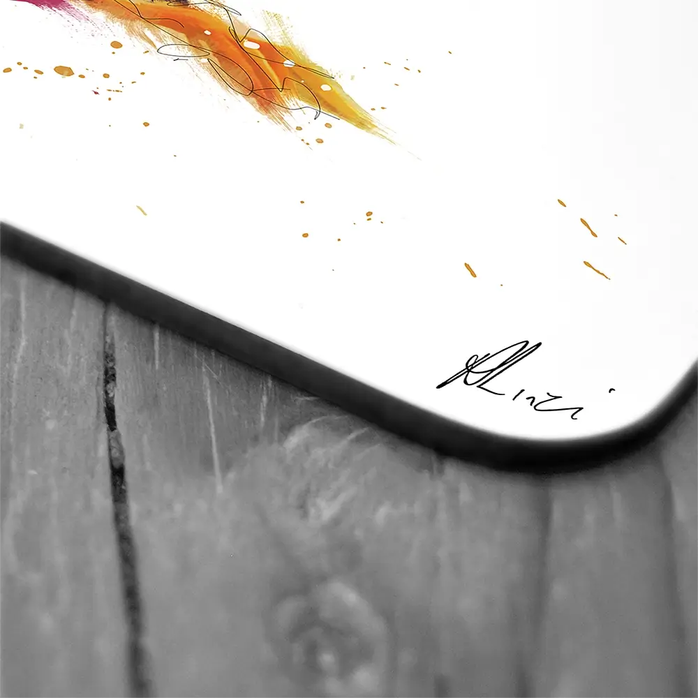 Duck Coaster Set Duck Coaster Set wall art product Aimee Linzi