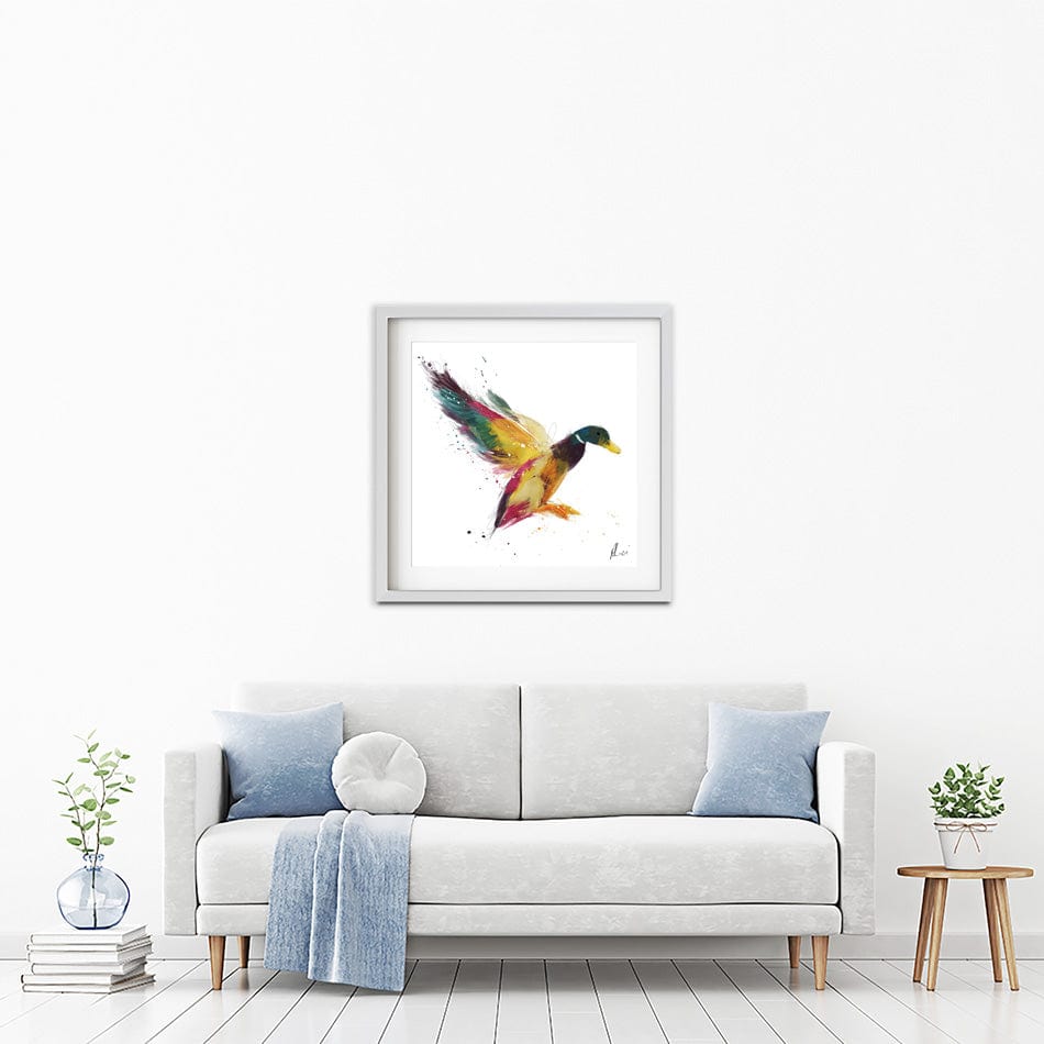 Duck Framed Art Print wall art product Aimee Linzi