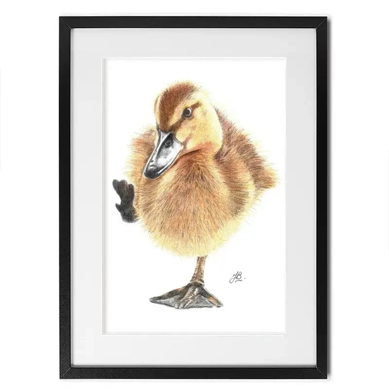 Duck Illustration Framed Art Print Duck Illustration Framed Art Print wall art product Jackie Bridges