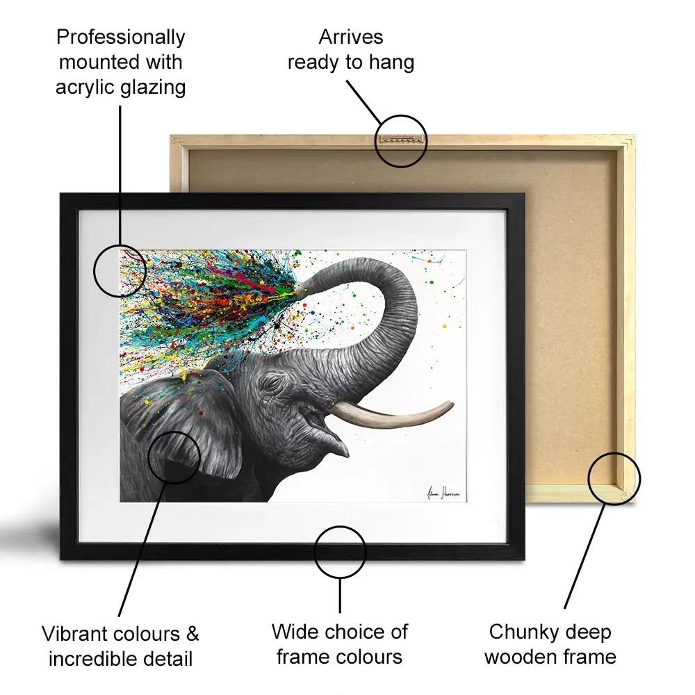 Elephant Elation Framed Art Print Elephant Elation Framed Art Print wall art product Ashvin Harrison