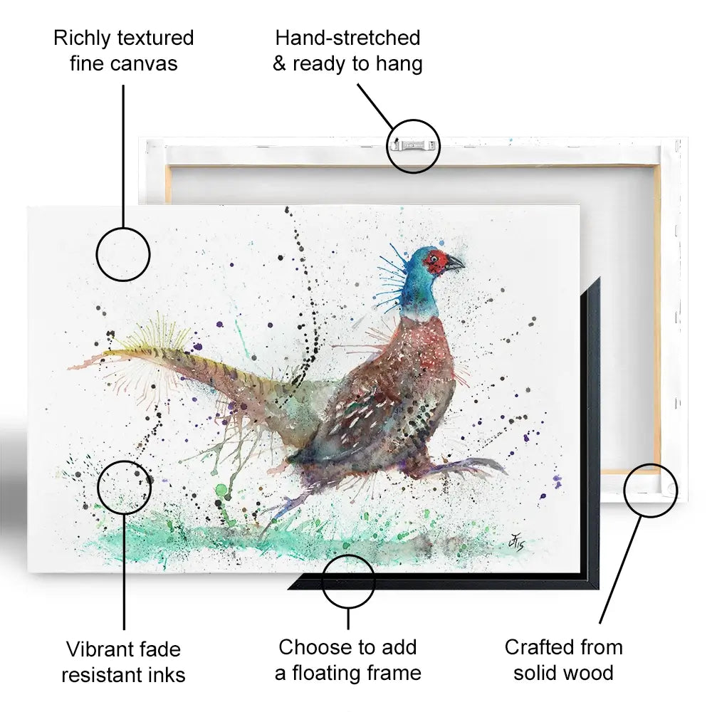 Fez The Pheasant Oversized Canvas Print Fez The Pheasant Oversized Canvas Print wall art product Jamie Taylor
