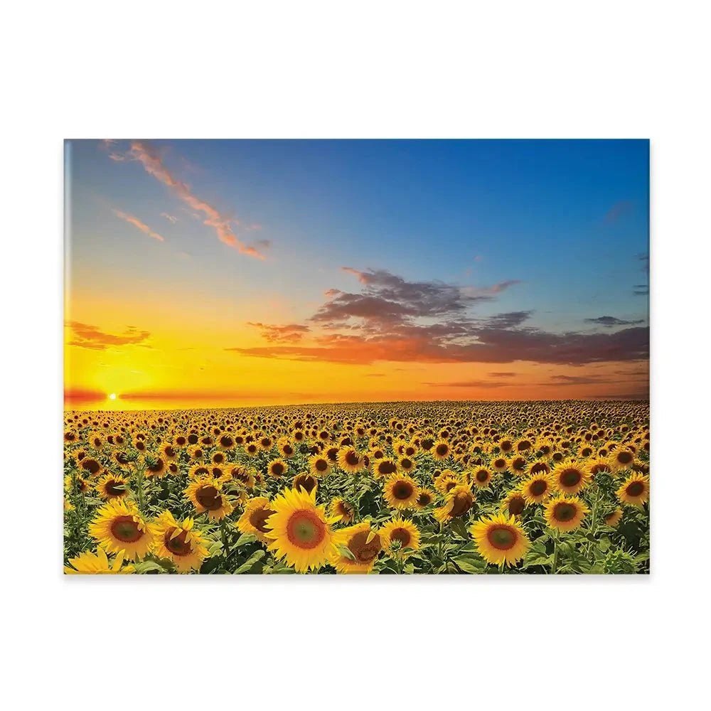 Field Of Blooming Sunflowers Canvas Print Field Of Blooming Sunflowers Canvas Print wall art product gornjak / Shutterstock