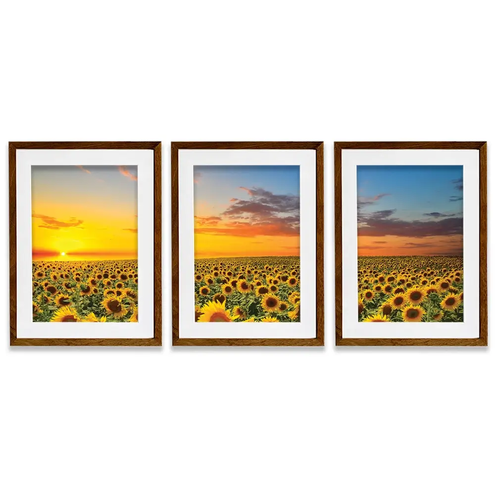 Field Of Blooming Sunflowers Framed Art Print Trio Field Of Blooming Sunflowers Framed Art Print Trio wall art product gornjak / Shutterstock