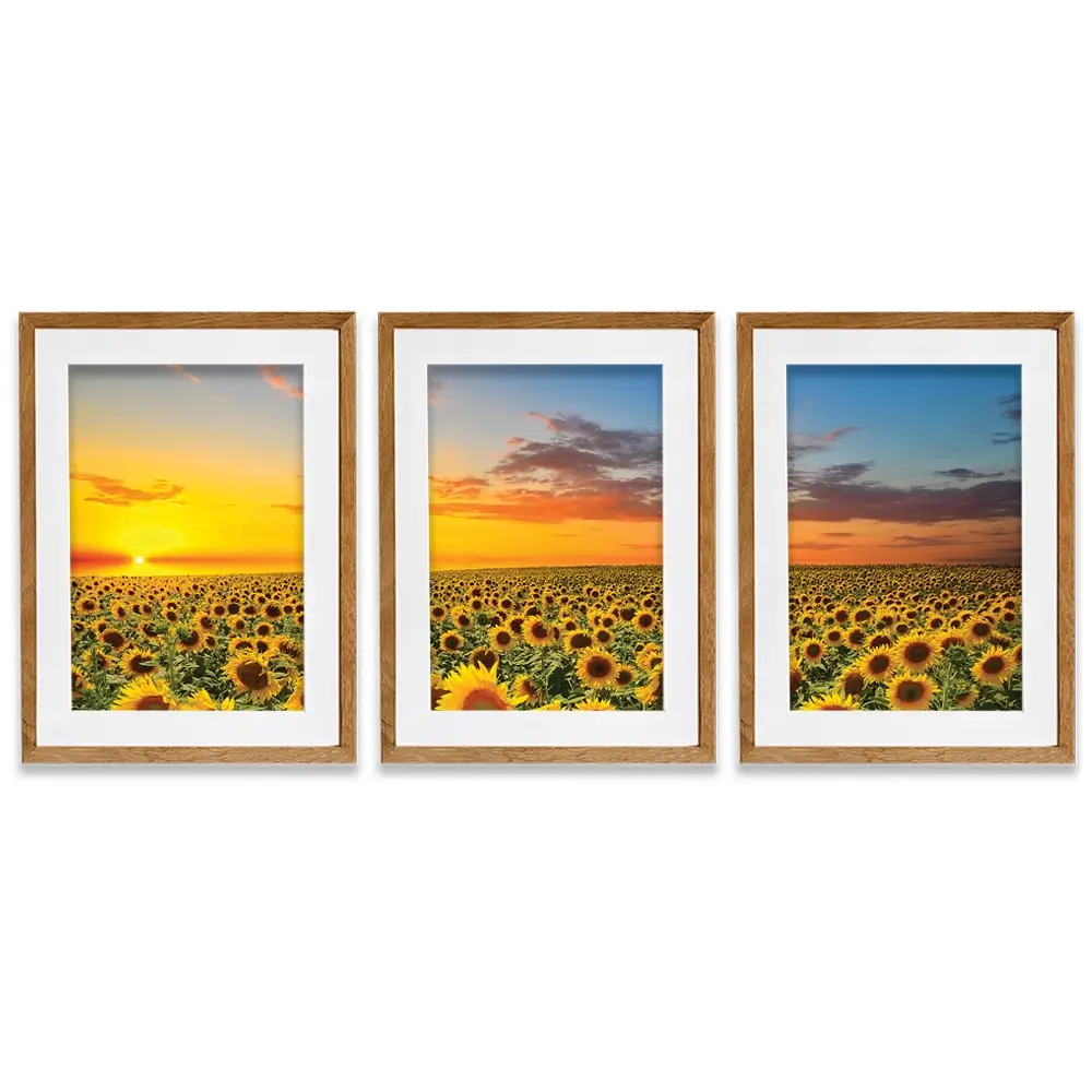 Field Of Blooming Sunflowers Framed Art Print Trio Field Of Blooming Sunflowers Framed Art Print Trio wall art product gornjak / Shutterstock
